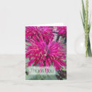 Search for balm cards Flower