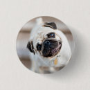 Search for head badges Animal