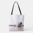 Search for folded bags Kitten