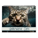 Search for funny cat calendars Pets