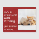 Search for not a creature was stirring seasonal cards Cat