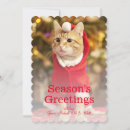 Search for anthropomorphic animals cards Focus on foreground