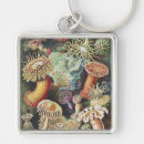 Search for sea life key rings Ernst haeckel