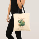 Search for cactus bloom Cacti