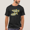 Search for zebrafish Cute fish