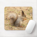 Search for no nuts electronics Squirrels