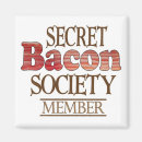 Search for secrets magnets Kitchen