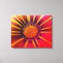 Search for gerber daisies art Flower