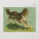 Search for herding horizontal postcards Sheepdog
