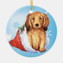 Search for hot dogs christmas tree decorations Doxie