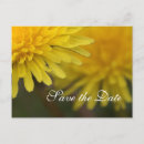 Search for pretty save the date postcards Flower