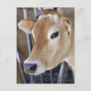 Search for identity postcards Vertical