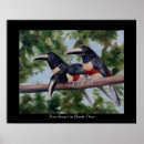 Search for amigo posters Nature