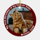 Search for dog first christmas tree decorations Animal lover