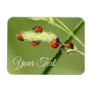Search for cute devil magnets Red
