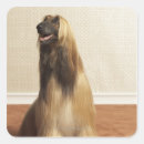 Search for afghan hound stickers Home interior