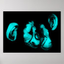 Search for chimp posters Evolution