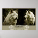 Search for wolf posters Canis