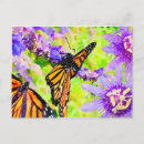 Search for butterfly horizontal postcards Purple