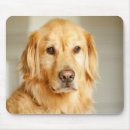Search for golden retriever mouse mats Puppy
