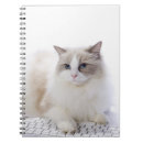 Search for ragdoll cat notebooks Cats