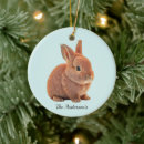 Search for cute bunny rabbit christmas tree decorations Animals