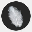 Search for bird feather stickers Black