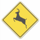 Search for whitetail stickers Hunt