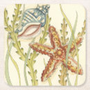 Search for sea shell coasters Chariklia zarris