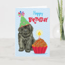 Search for newfoundland dog birthday cards Newfie