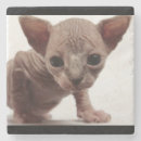 Search for breeds glass coasters Cute