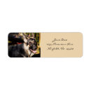 Search for dog postage Pets
