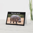 Search for hippo sayings Hippopotamus