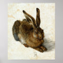 Search for hare posters Durer