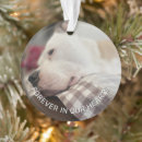 Search for sympathy pet memorial ornaments Remembrance