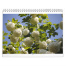 Search for calander calendars 2013