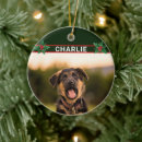 Search for german shepherd christmas decor Animals