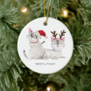 Search for santa christmas tree decorations Cat