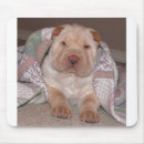 Search for chinese shar electronics Puppies