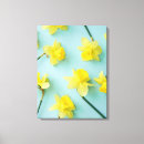 Search for yellow daffodil canvas prints Narcissus