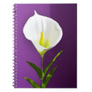 Search for cala lily Floral