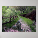 Search for black poodle posters Puppy