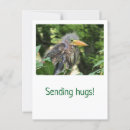 Search for beak vertical postcards Bird