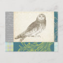 Search for turquoise background postcards Owl