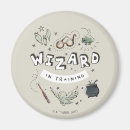 Search for train magnets Magic