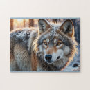 Search for wolf puzzles Winter