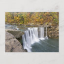 Search for cumberland falls Autumn