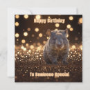 Search for wombat cards Wildlife