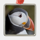 Search for puffin christmas tree decorations Pelagic