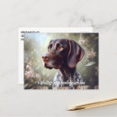 Search for german shorthaired pointers postcards Bird dog